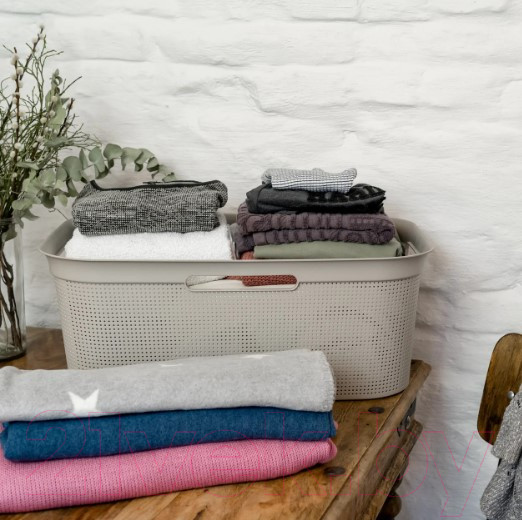 Изображение товара Корзина для белья Rotho Laundry Brisen / 1023607422 (41л, капучино)