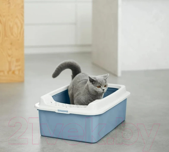 Изображение товара Туалет-лоток Rotho Bonnie ECO Top Entry / 4004706161 (голубой)