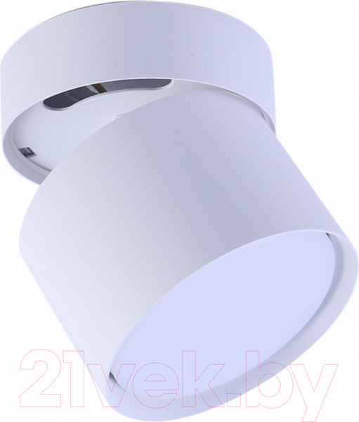 Спот Truenergy 21005