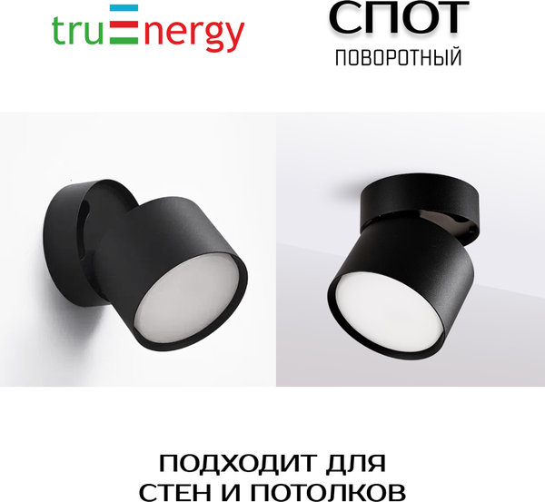 Изображение товара Спот Truenergy 21006