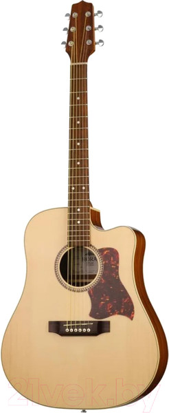 Изображение товара Акустическая гитара Hora W11304ctw