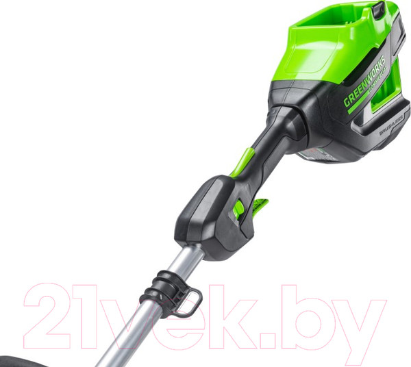 Изображение товара Триммер аккумуляторный Greenworks 2110607UA