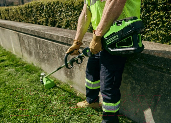 Изображение товара Триммер аккумуляторный Greenworks 2110607UA