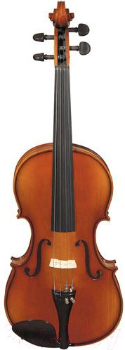 Изображение товара Скрипка Hora V100-4/4