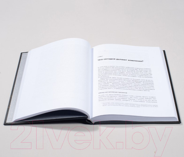 Изображение товара Книга Альпина Внедрение ИИ в бизнес-практику (Дейвенпорт Т.)