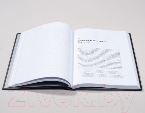 Изображение товара Книга Альпина Внедрение ИИ в бизнес-практику (Дейвенпорт Т.)