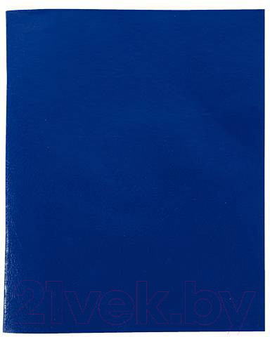 Изображение товара Тетрадь Lite CBBVА4-96Bl (96л)