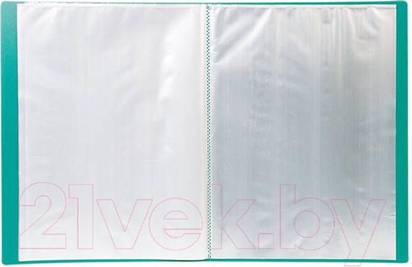 Изображение товара Папка для бумаг Lite NP0151-30ВG (с файлами, зеленый)