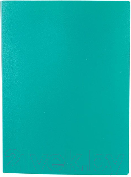 Изображение товара Папка для бумаг Lite NP0151-30ВG (с файлами, зеленый)