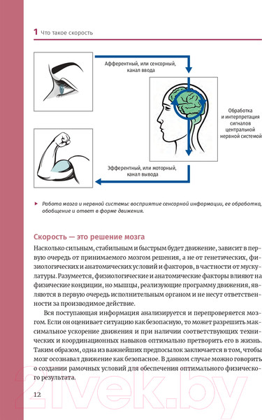 Изображение товара Книга Попурри Нейроатлетика для улучшения реакции (Линхард Л.)