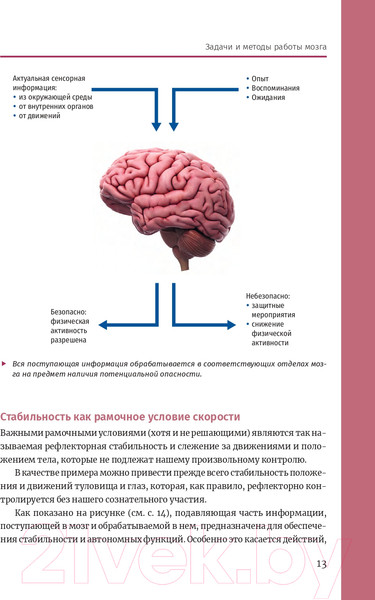 Изображение товара Книга Попурри Нейроатлетика для улучшения реакции (Линхард Л.)