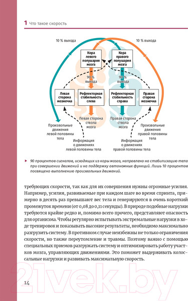 Изображение товара Книга Попурри Нейроатлетика для улучшения реакции (Линхард Л.)