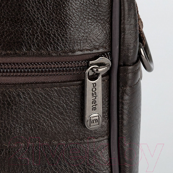 Изображение товара Сумка Poshete 252-8101-DBW (коричневый)
