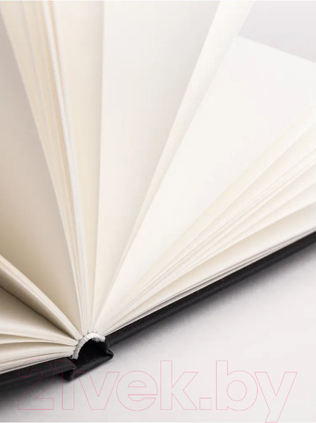 Изображение товара Скетчбук Малевичъ Veroneze / 401474 (40л, черный)