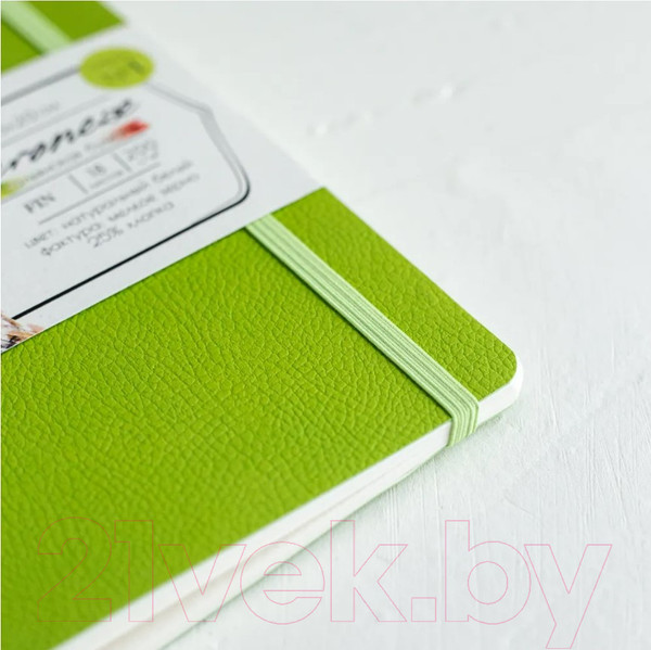 Изображение товара Скетчбук Малевичъ Veroneze / 401505 (18л, салатовый)