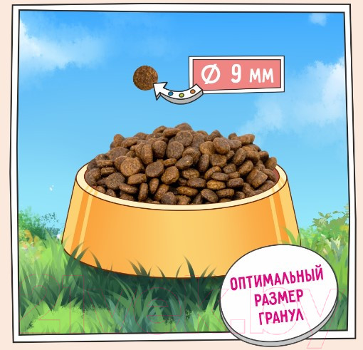 Изображение товара Сухой корм для кошек Zillii Indoor Adult индейка с ягненком / 5658111 (2кг)