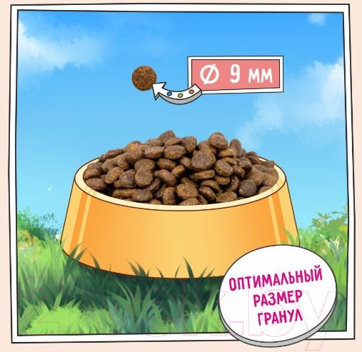 Изображение товара Сухой корм для кошек Zillii Sensitive Digestion Cat индейка / 5658121 (2кг)