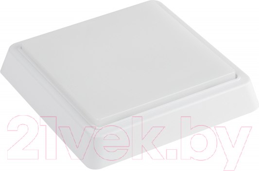 Изображение товара Светильник ЖКХ ЭРА SPB-302-2-4K-15 / Б0055050