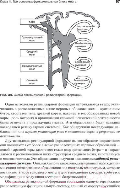 Изображение товара Книга Питер Основы нейропсихологии (Лурия А.Р.)
