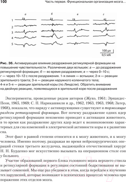 Изображение товара Книга Питер Основы нейропсихологии (Лурия А.Р.)