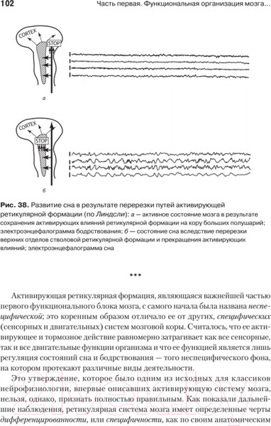 Изображение товара Книга Питер Основы нейропсихологии (Лурия А.Р.)
