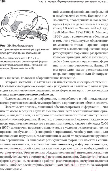 Изображение товара Книга Питер Основы нейропсихологии (Лурия А.Р.)