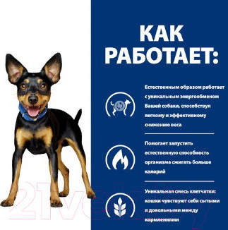 Изображение товара Сухой ветеринарный корм для собак Hill's Prescription Diet Metabolic Mini коррекция веса / 606378 (1кг)