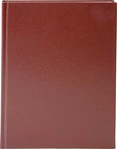 Изображение товара Ежедневник Lite DNBL-BUM5/Brw