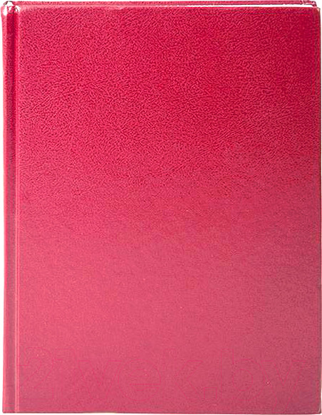 Изображение товара Ежедневник Lite DNBL-BUM5/Bor