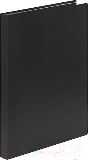 Изображение товара Папка для бумаг Lite NP0151-30BkE (с файлами, черный)