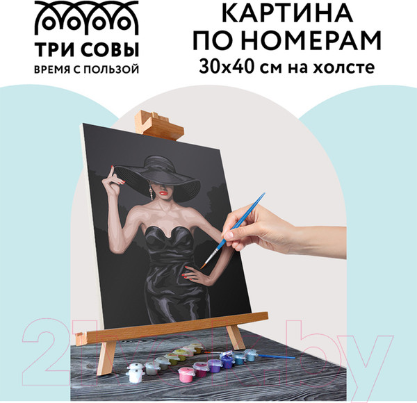 Изображение товара Картина по номерам Три совы Высокая мода / КХ_44118