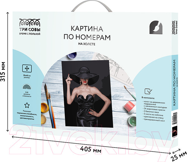 Изображение товара Картина по номерам Три совы Высокая мода / КХ_44118