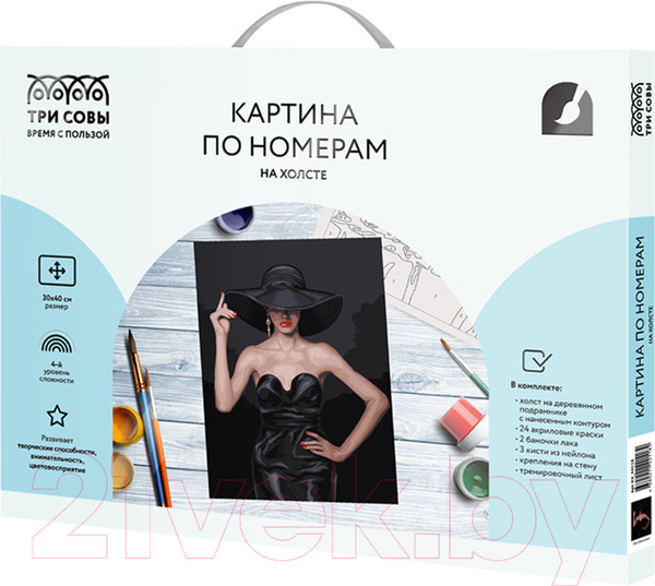 Изображение товара Картина по номерам Три совы Высокая мода / КХ_44118