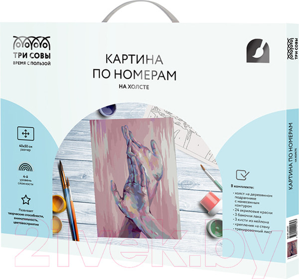 Изображение товара Картина по номерам Три совы Прикосновения / КХ_44182