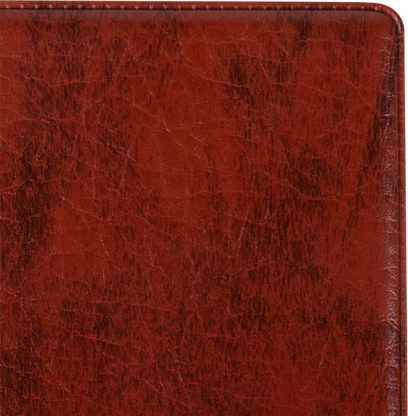 Изображение товара Альбом для коллекционирования Остров Сокровищ 237961 (коричневый)