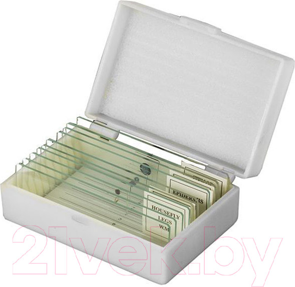 Изображение товара Набор микропрепаратов Микромед С предметными стеклами / 20529