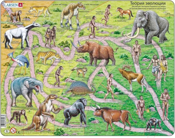 Изображение товара Пазл LARSEN От обезьяны до человека HL3