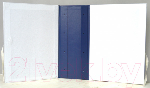 Изображение товара Папка-регистратор Авира Дело ПДГф21-120