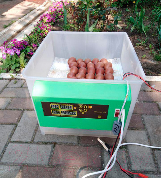 Изображение товара Инкубатор для животных Спектр-Прибор slkin69