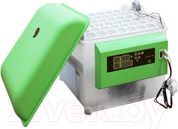 Изображение товара Инкубатор для животных Спектр-Прибор slkin69