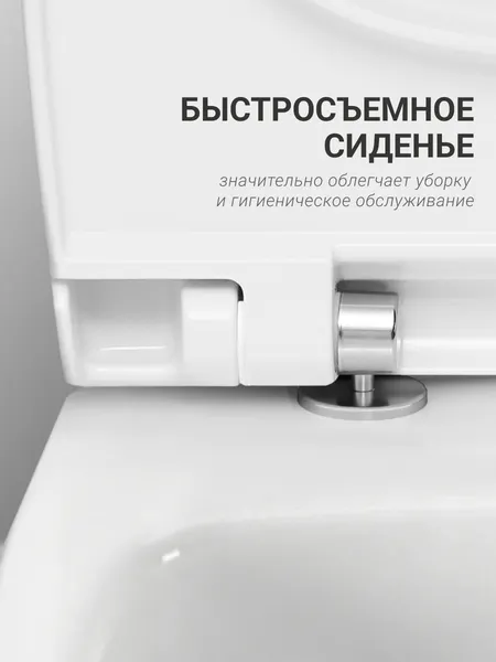 Изображение товара Унитаз подвесной с инсталляцией Santek Пэк Нео 1WH501758