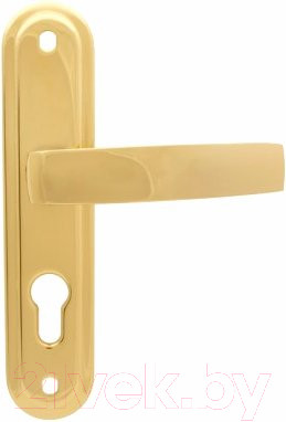 Изображение товара Ручка дверная Apecs HP-55.0601-G