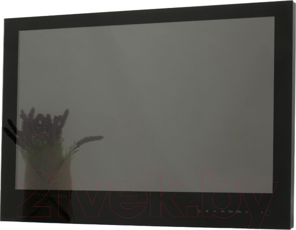 Изображение товара Телевизор Avel Smart AVS240WS (черный)