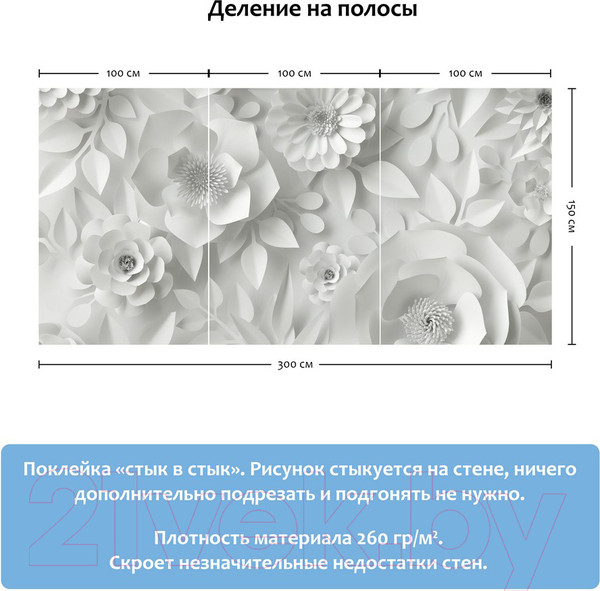Изображение товара Фотообои листовые Citydecor Цветы модерн 3D (300x150)