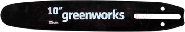 Изображение товара Шина для пилы Greenworks 2949207 (25см)