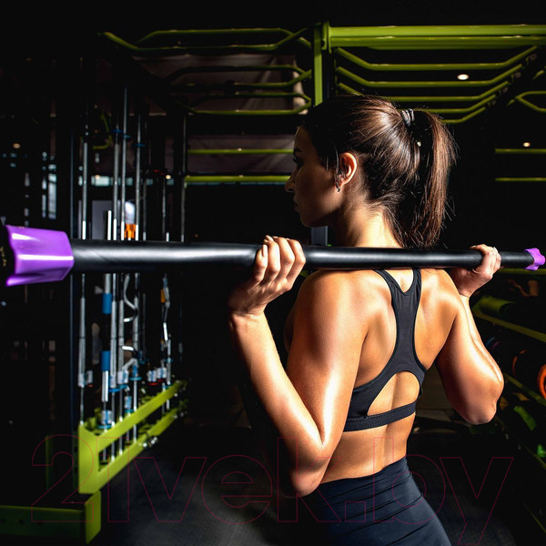 Изображение товара Бодибар Profi-Fit PF-BDB-2 (2кг)