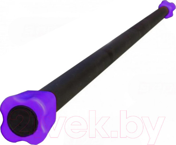 Изображение товара Бодибар Profi-Fit PF-BDB-2 (2кг)