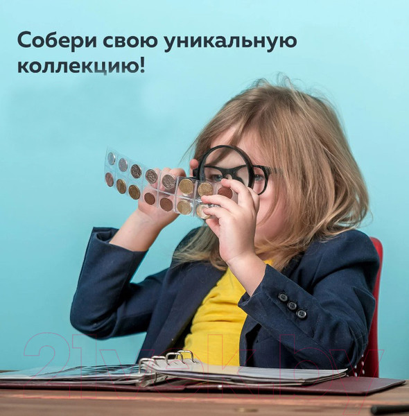 Изображение товара Набор листов для коллекционирования Staff Optima на 24 монеты / 238084 (10шт)