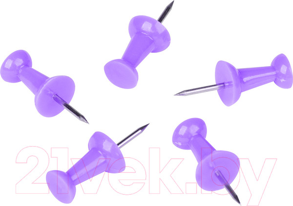 Изображение товара Кнопки канцелярские Berlingo PN5030a (50шт, фиолетовый)