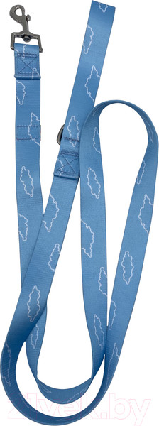 Изображение товара Поводок Miniso Colorado-2.5x150 см / 9574 (синий)